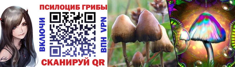 Псилоцибиновые грибы ЛСД  Купить где  Власиха 